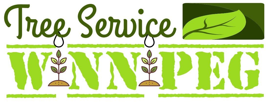 the tree service winnipeg blog