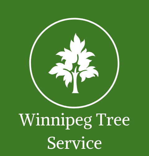 winnipeg tree service company logo