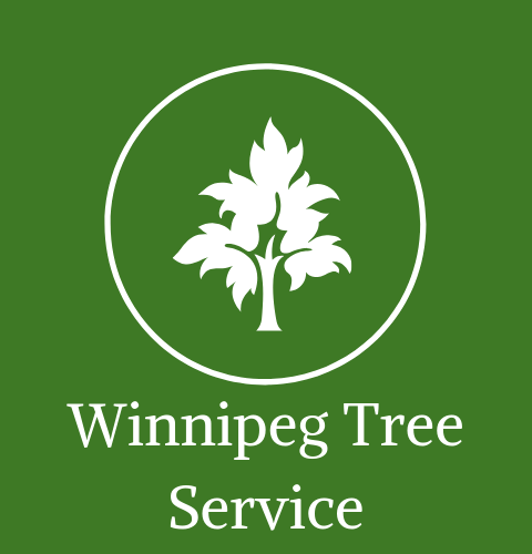 Winnipeg Tree Service