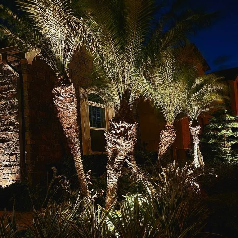 Palm trees illuminated at night, in front of a house.