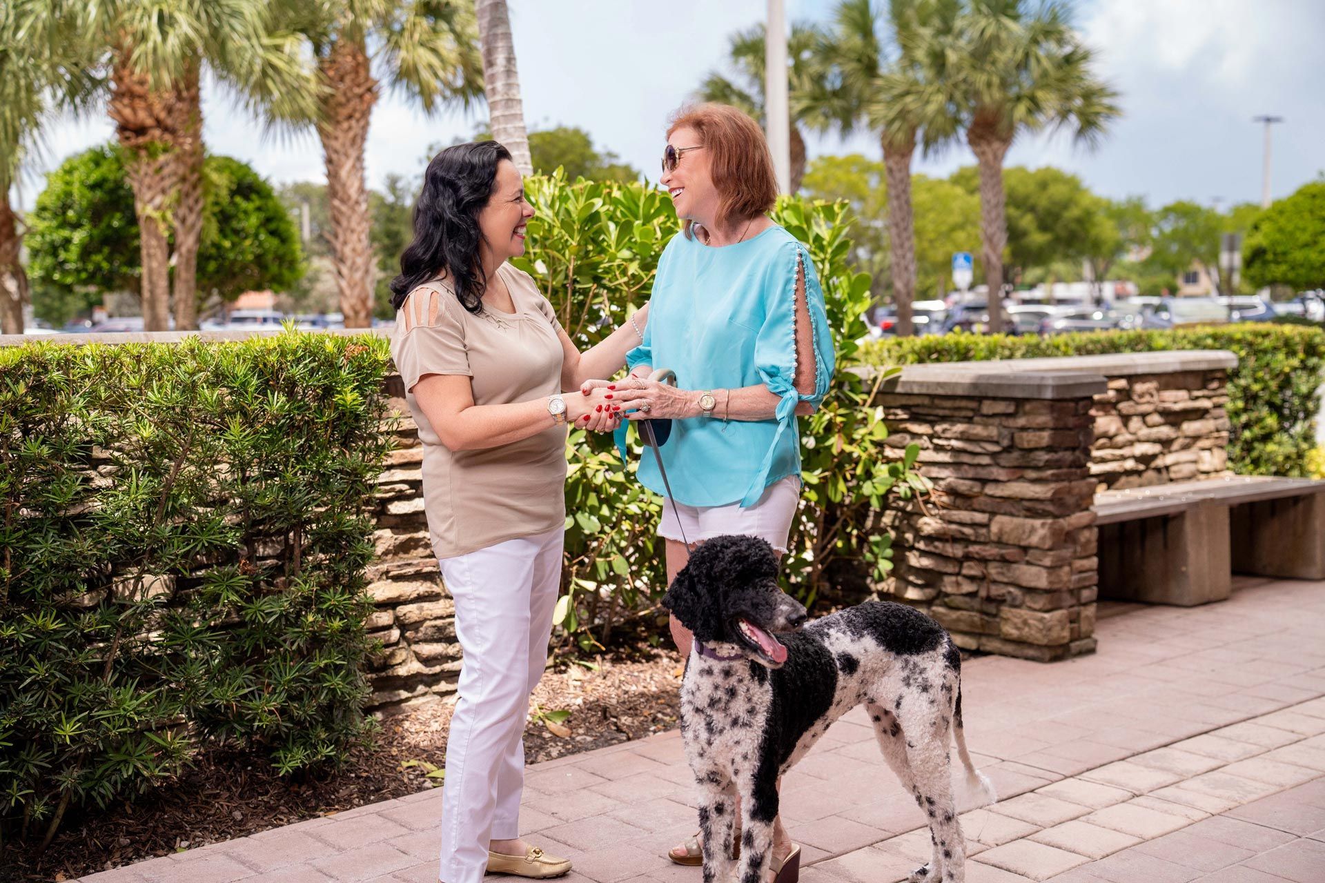 Two women are standing next to a dalmatian dog on a sidewalk Two women are standing next to a dalmatian dog on a sidewalk