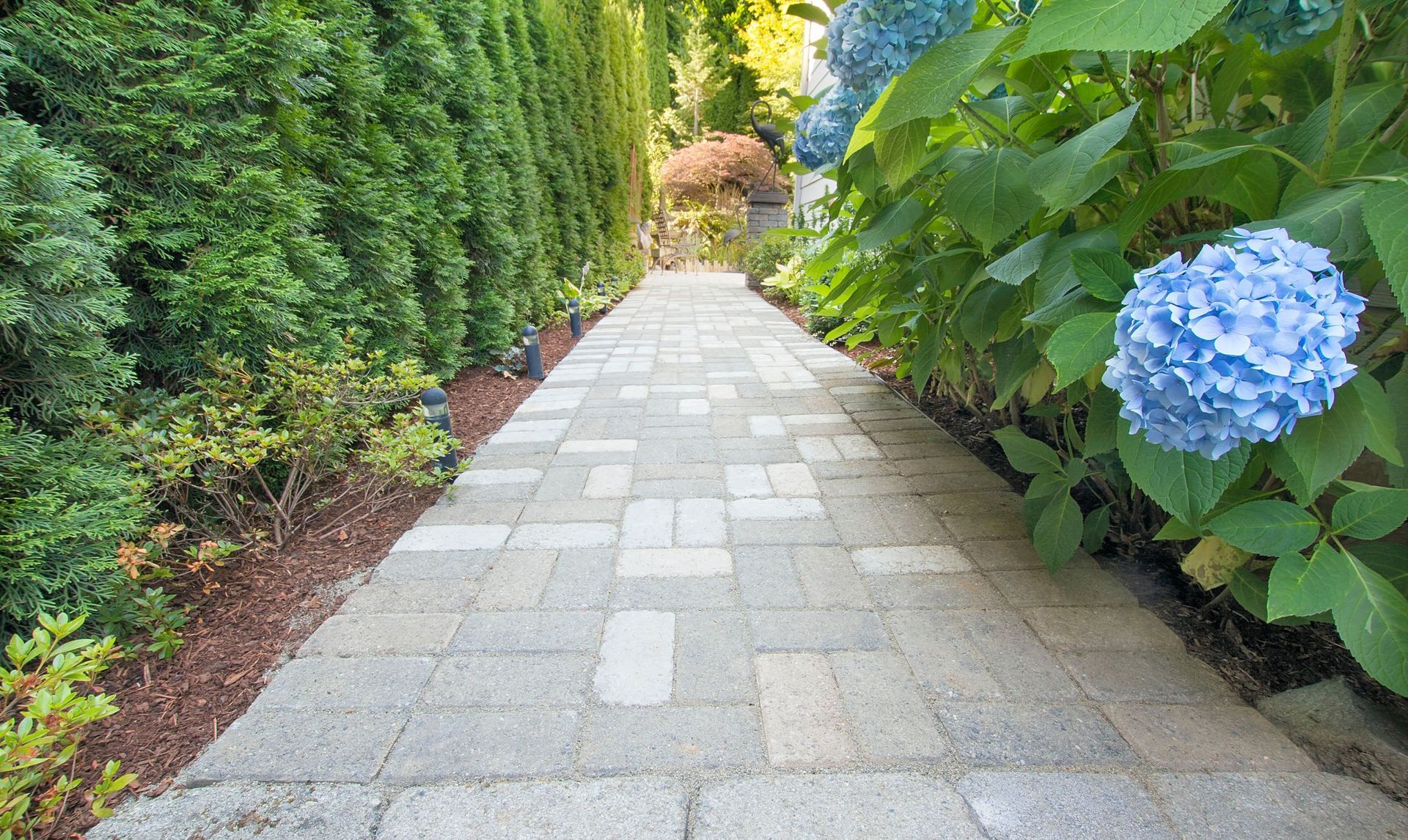 Stone pathway with green hedges.