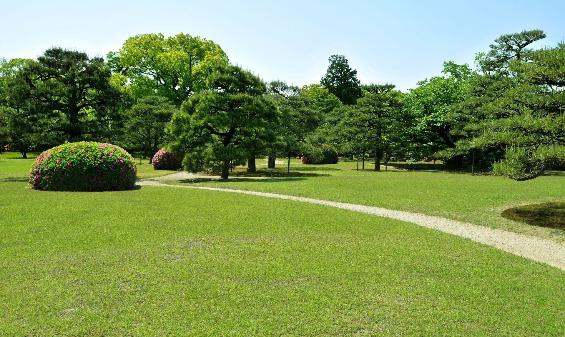 Green lawn with trees and shrubbery.
