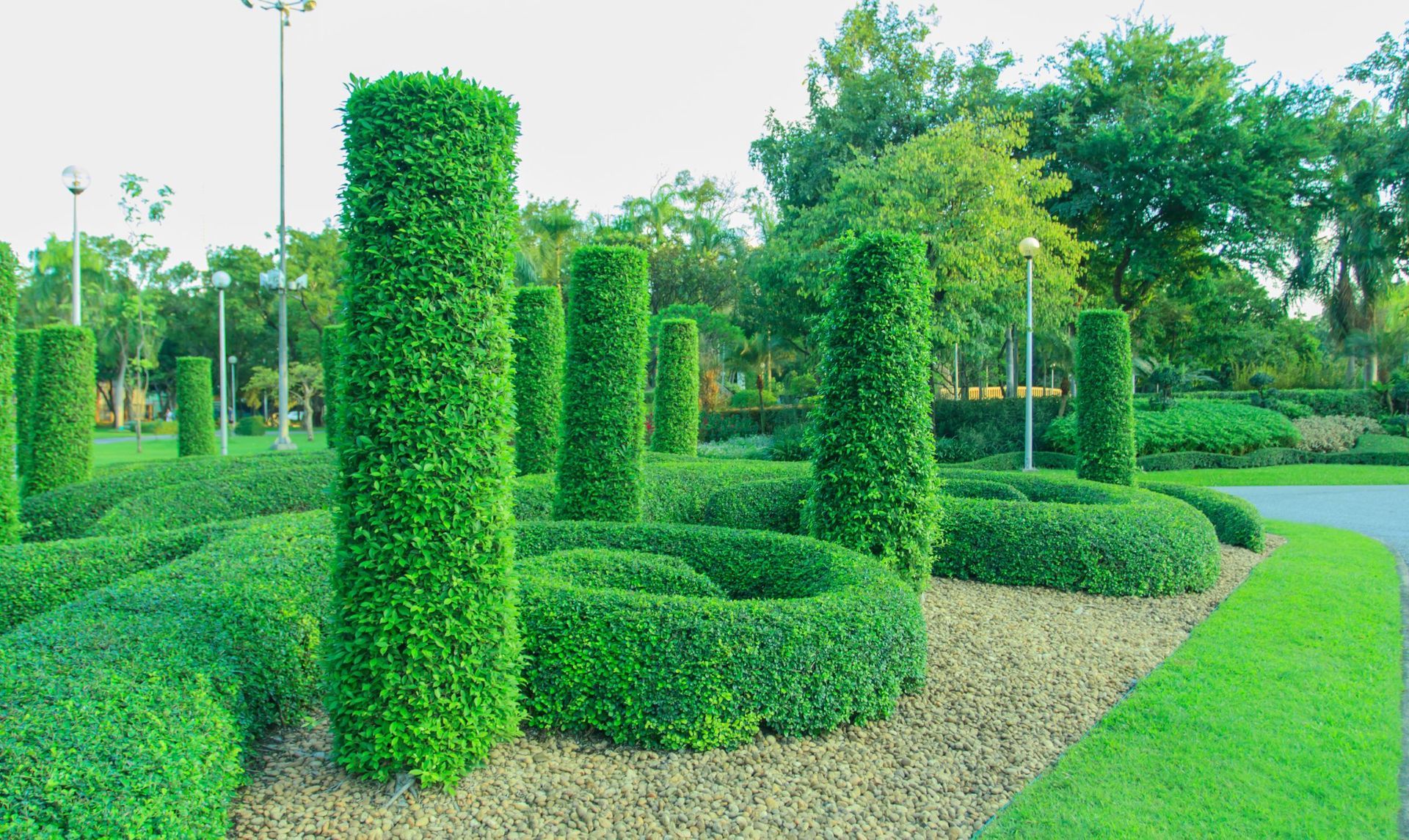 Garden with cylindrical and curved hedge shapes and green lawn. Garden with cylindrical and curved hedge shapes and green lawn.