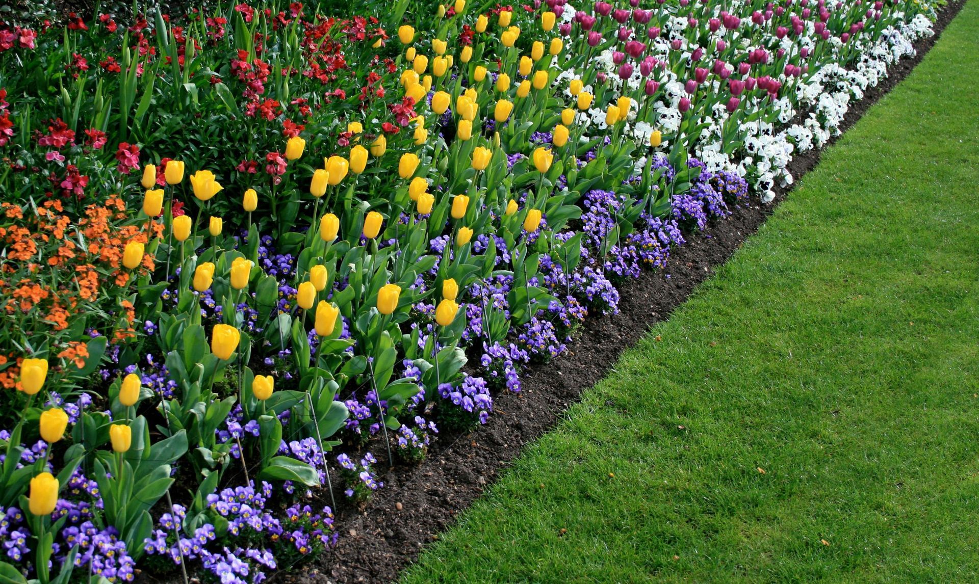 Colorful flower bed