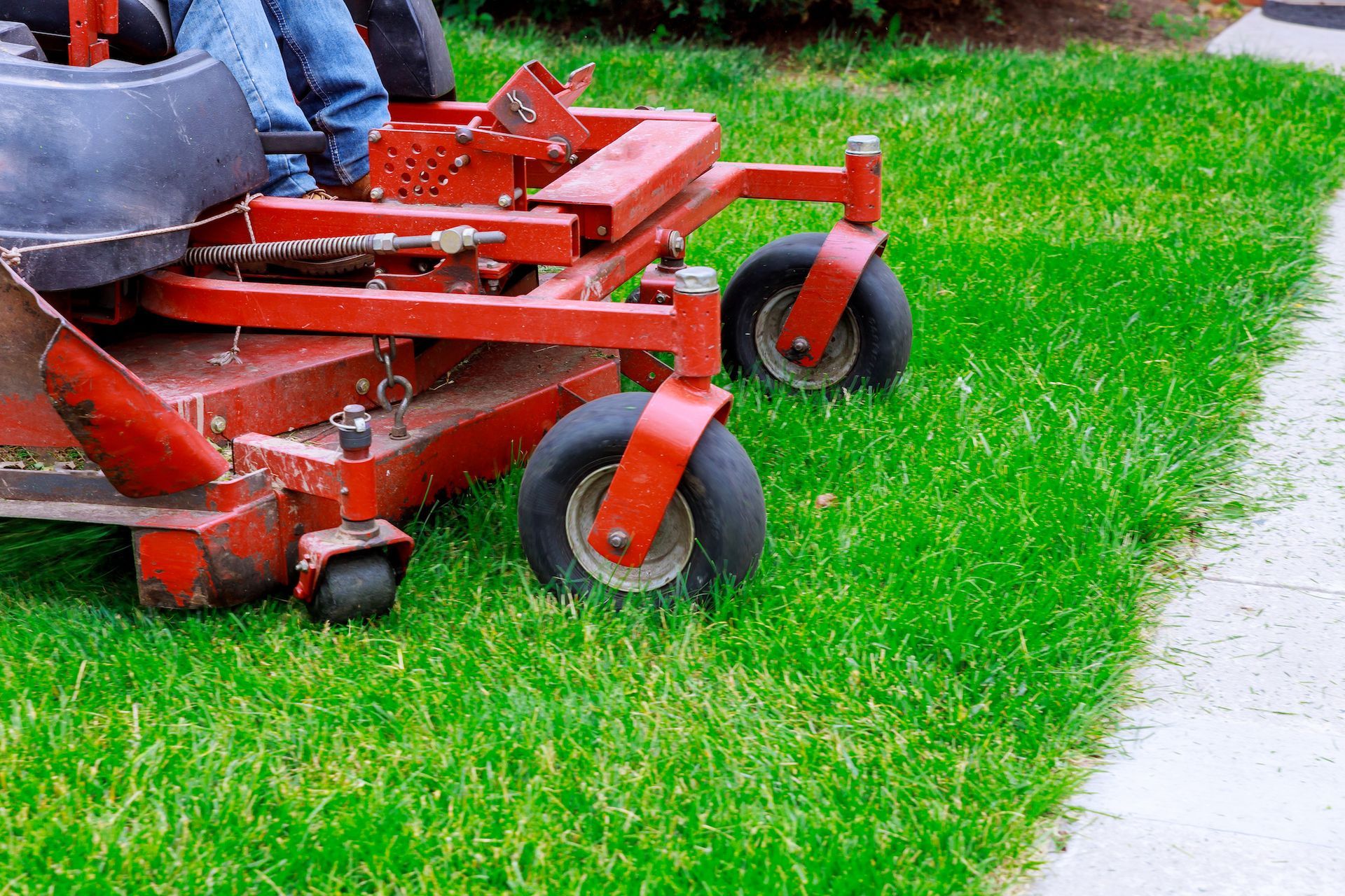 Lawnmower mowing bright green grass.