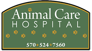 Animal Care Hospital