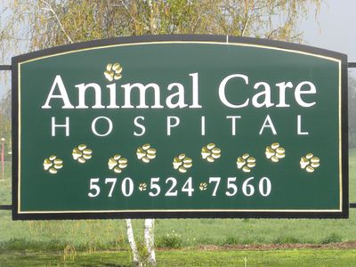 Animal Care Hospital Services for The Greater Susquehanna Valley
