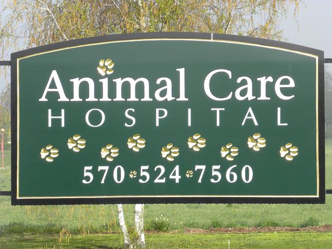 Two vets in front of their animal care hospital in Williamsport, PA