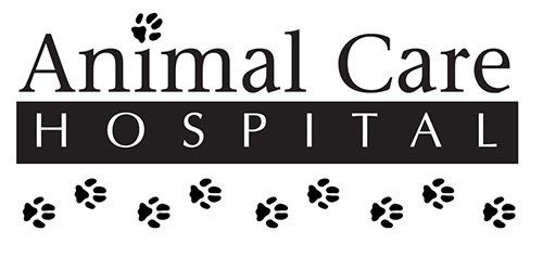 Animal Care Hospital