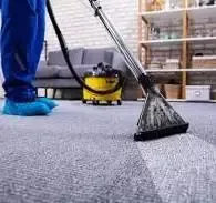 A person is using a vacuum cleaner to clean a carpet in a living room.