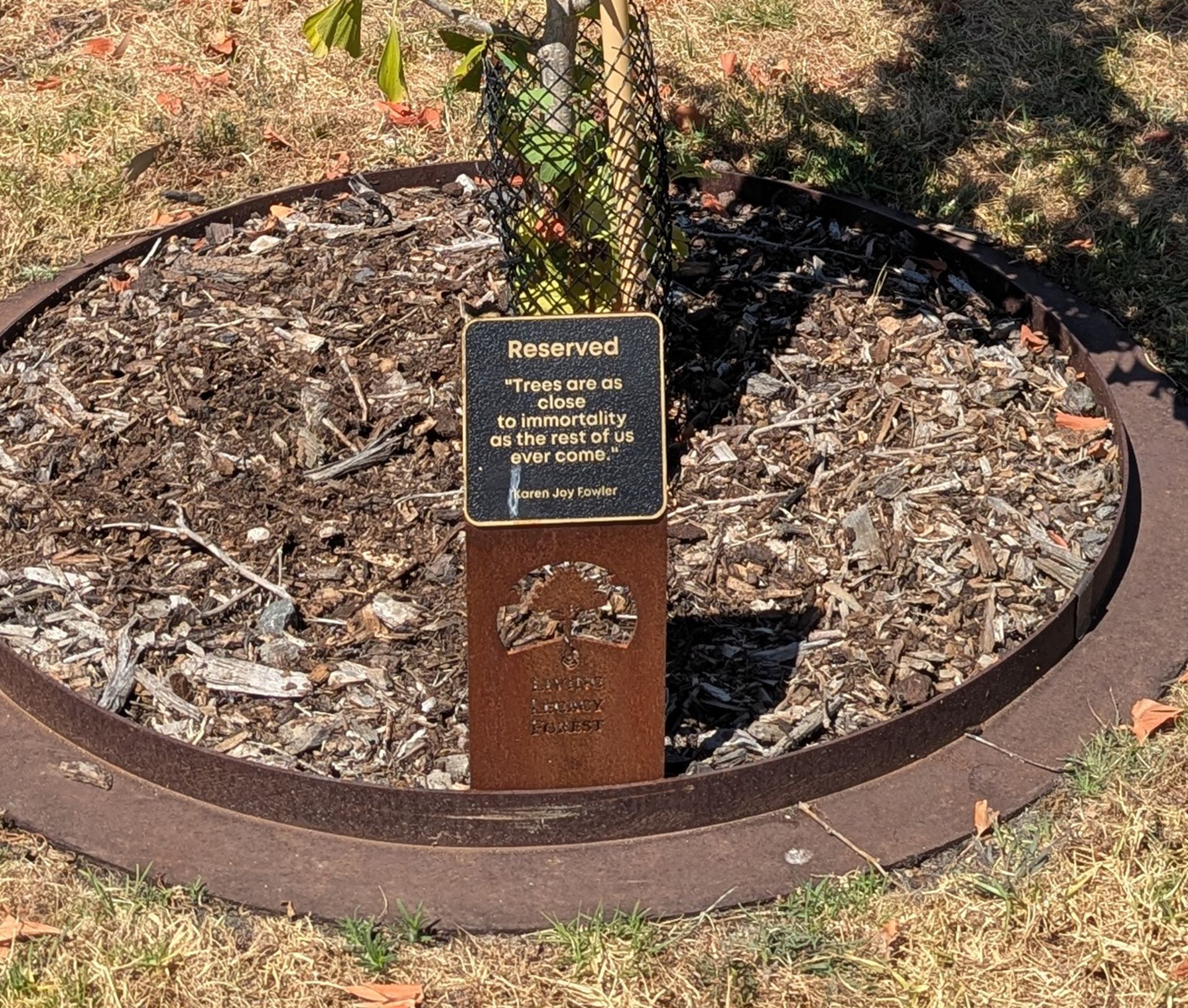 A memorial plaque beneath a small tree, stating: Trees are as close to immortality as the rest of us ever come.