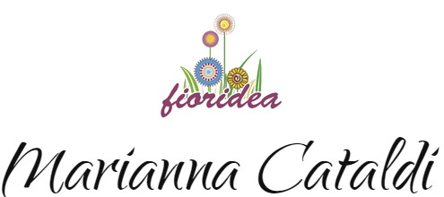Fioridea logo