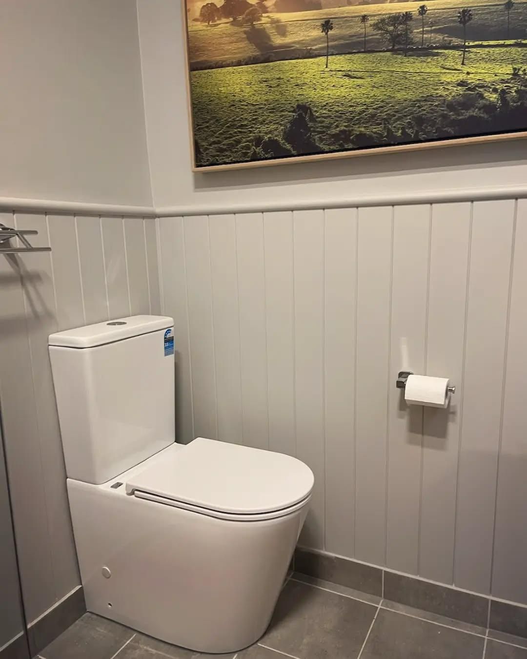 A Toilet in A Bathroom with A Picture on The Wall Above It — Bowral Bathrooms in Exeter, NSW