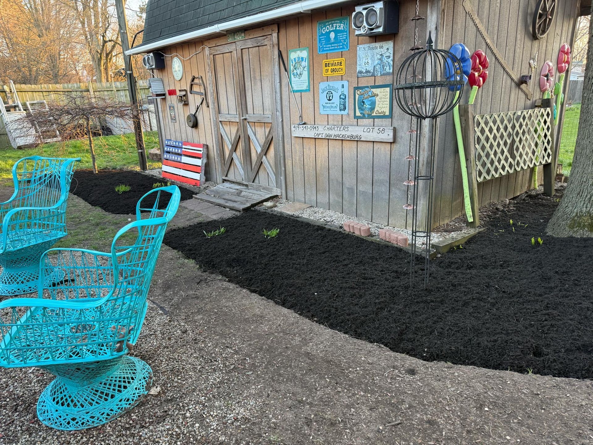 Blue chairs on patio near rustic shed with decorations and fresh black mulch.