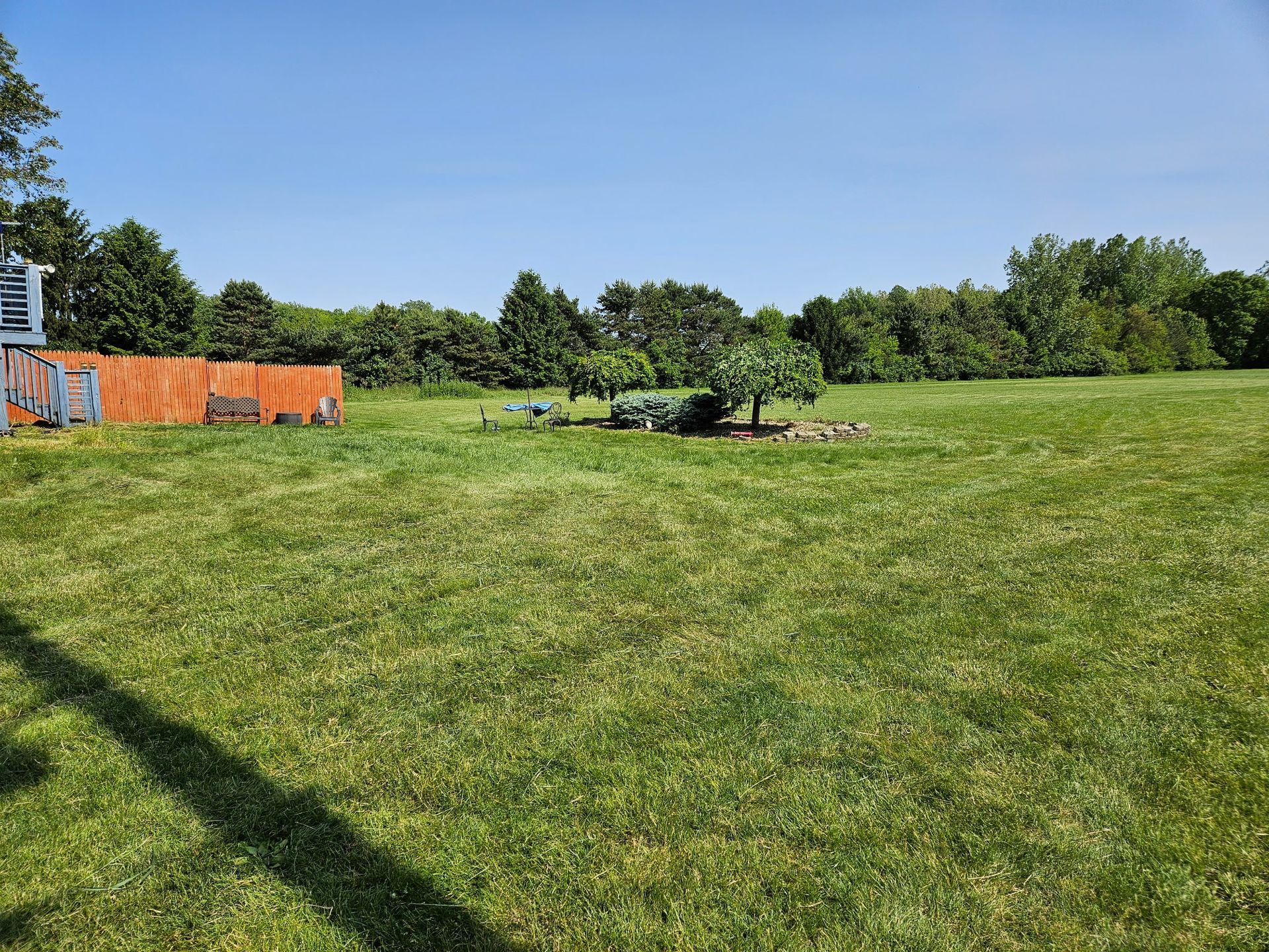 A grassy field with a wooden fence and trees in the distance under a blue sky.