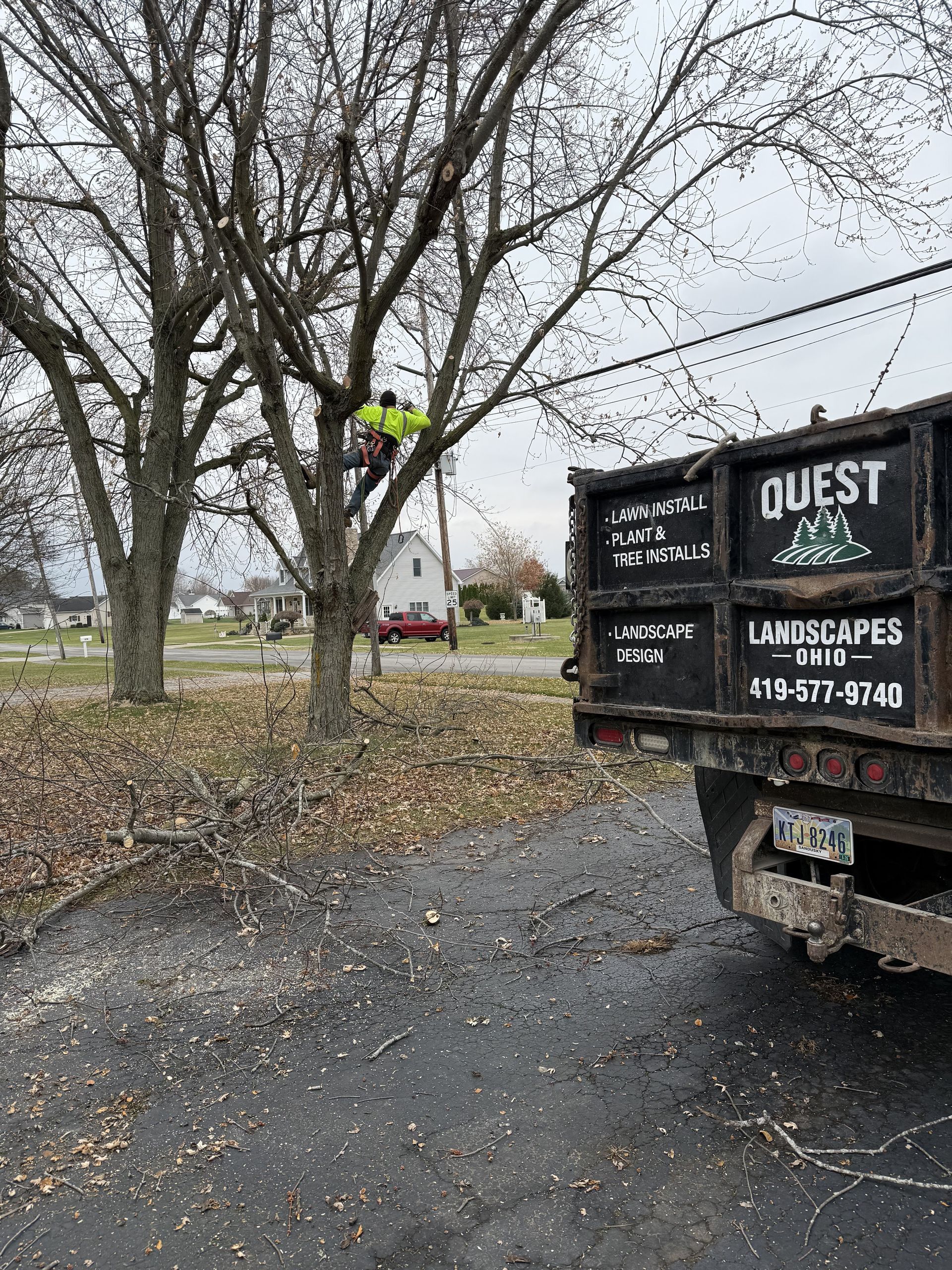 Arborist trimming a tree near a truck with 