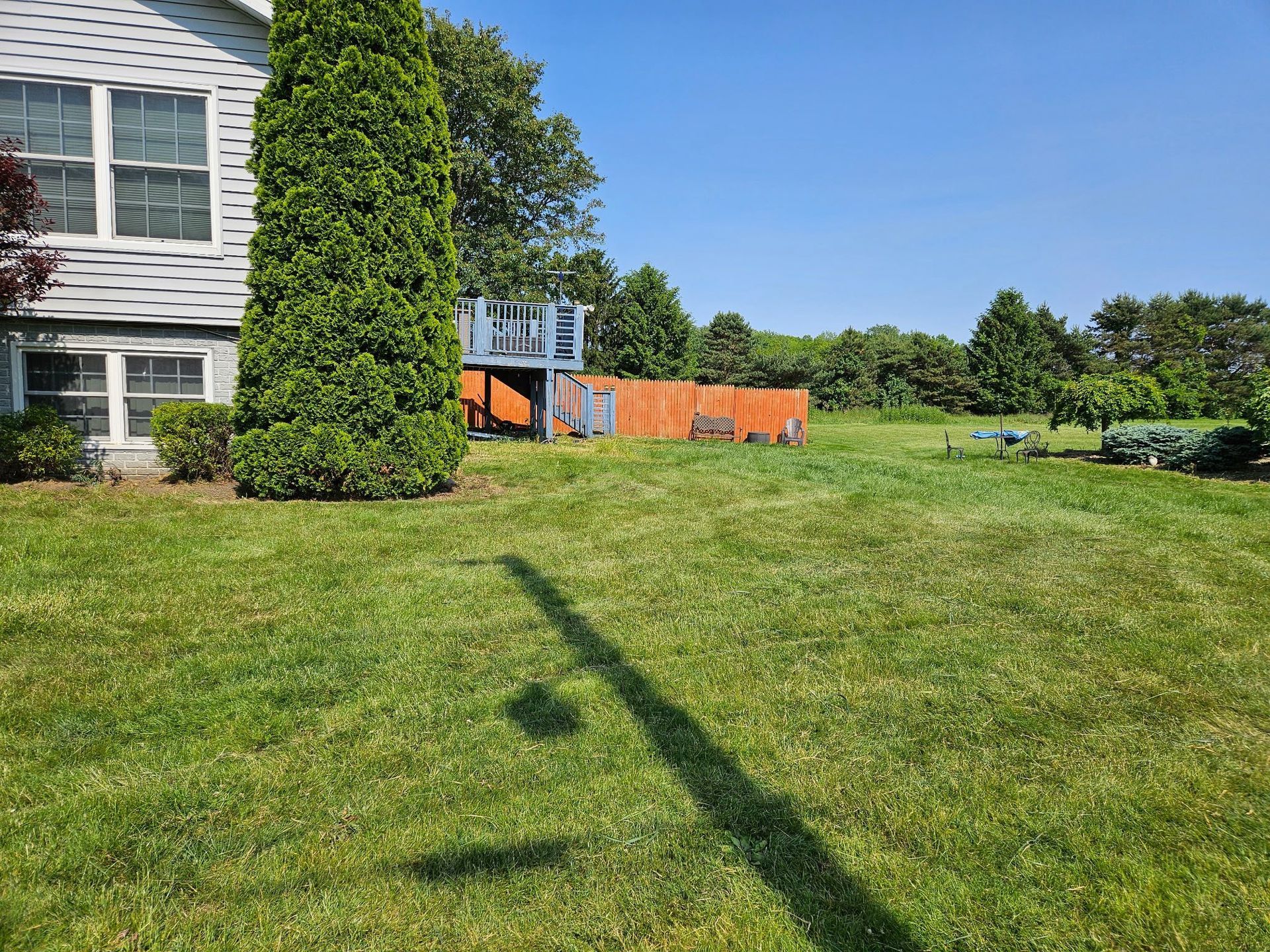 Green lawn with a house on the left and a wooden play structure in the middle distance. Sunny day.