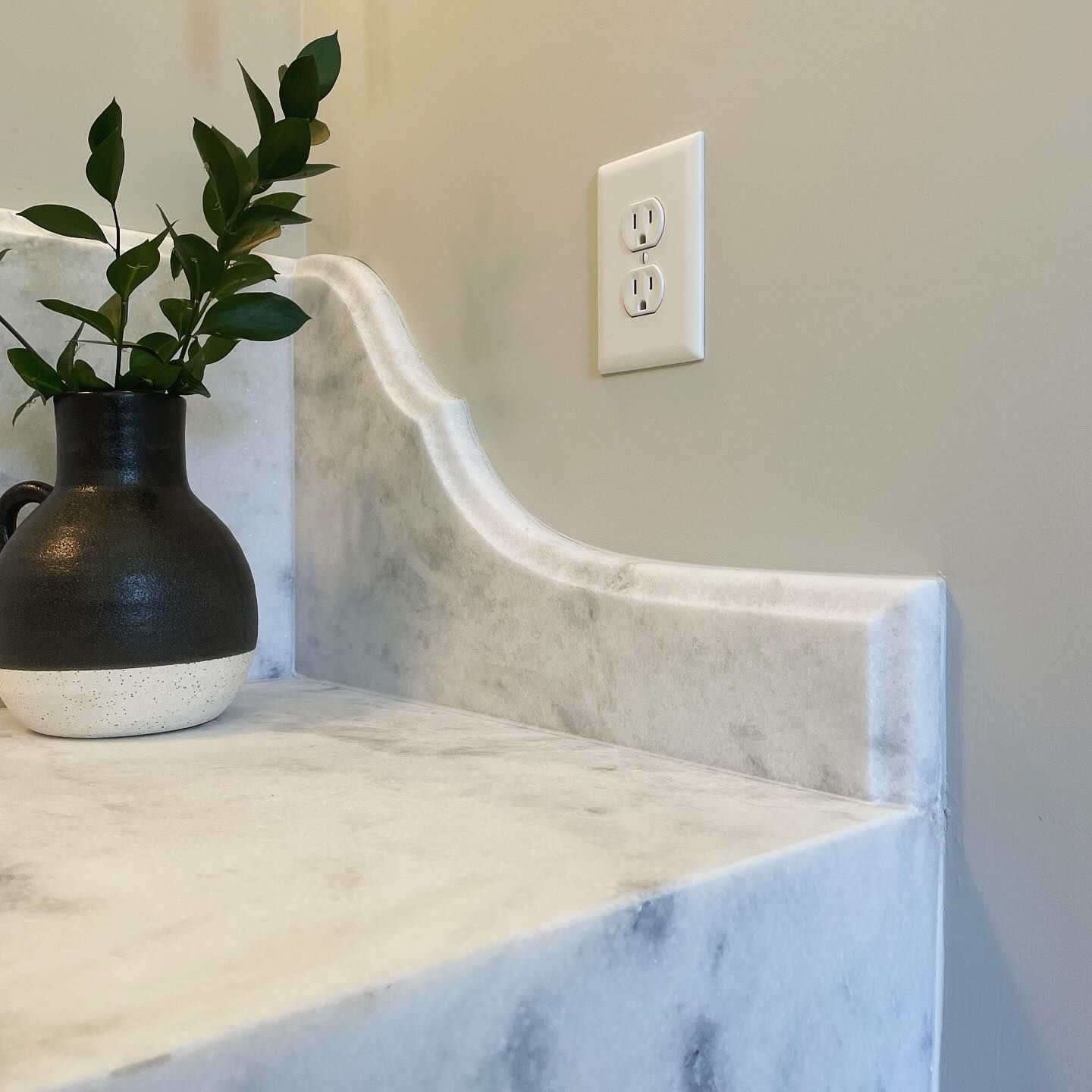 A vase with a plant in it sits on a counter