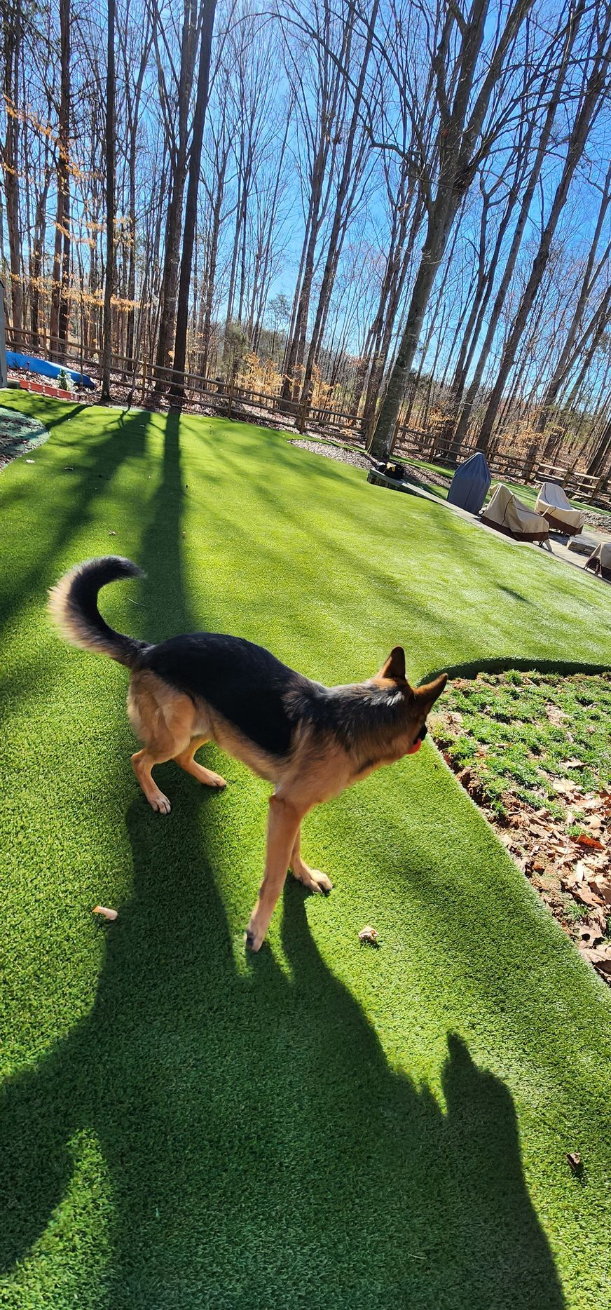 white fence with grass