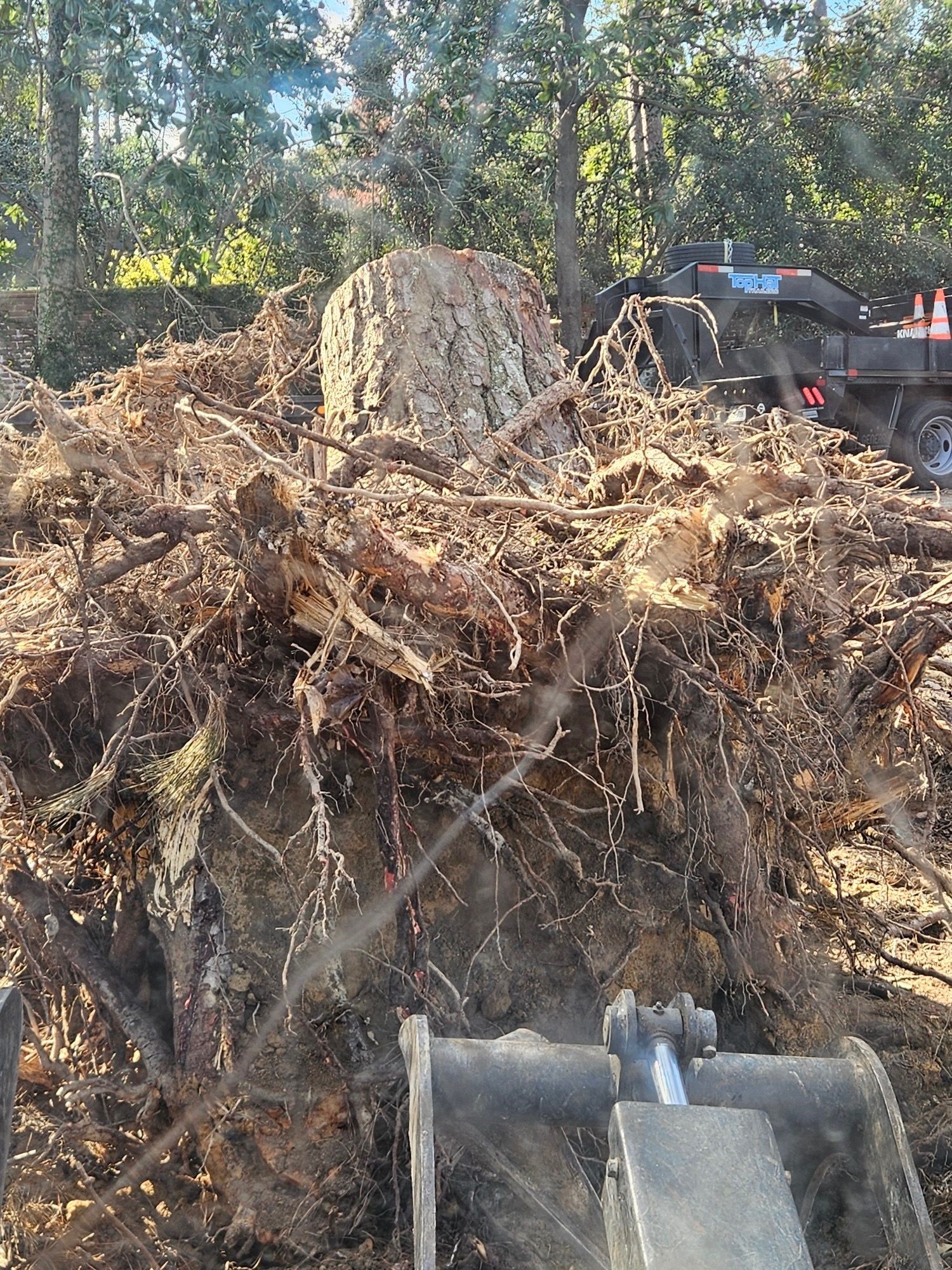 A pile of tree roots is being removed by a bulldozer.