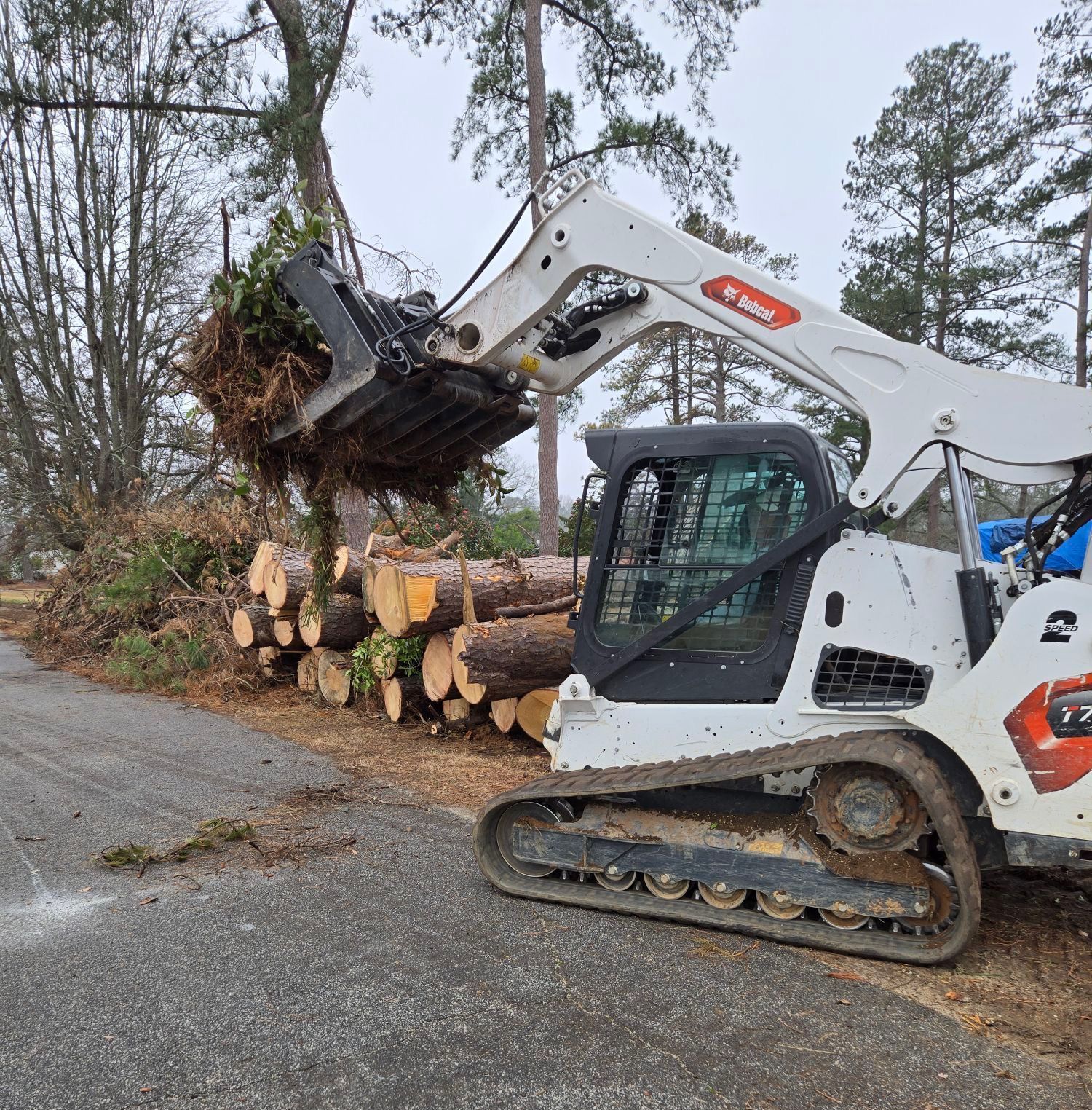 A bobcat is moving logs down a road