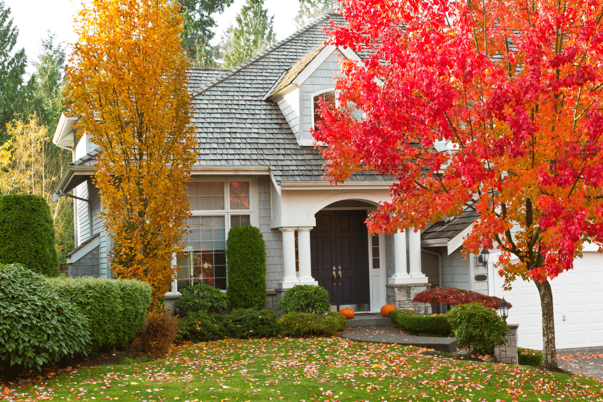 Beautiful Autumn Trees Infront Of Albuquerque Home By Albuquerque Landscapes