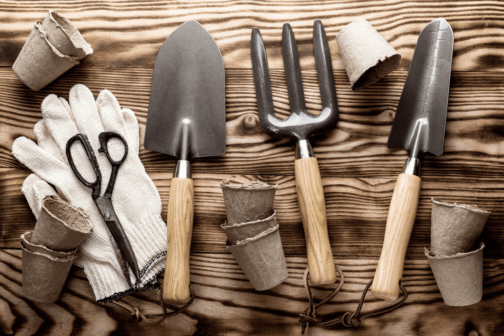 Displaying Gears and Tools For Landscaping On Wooden Table