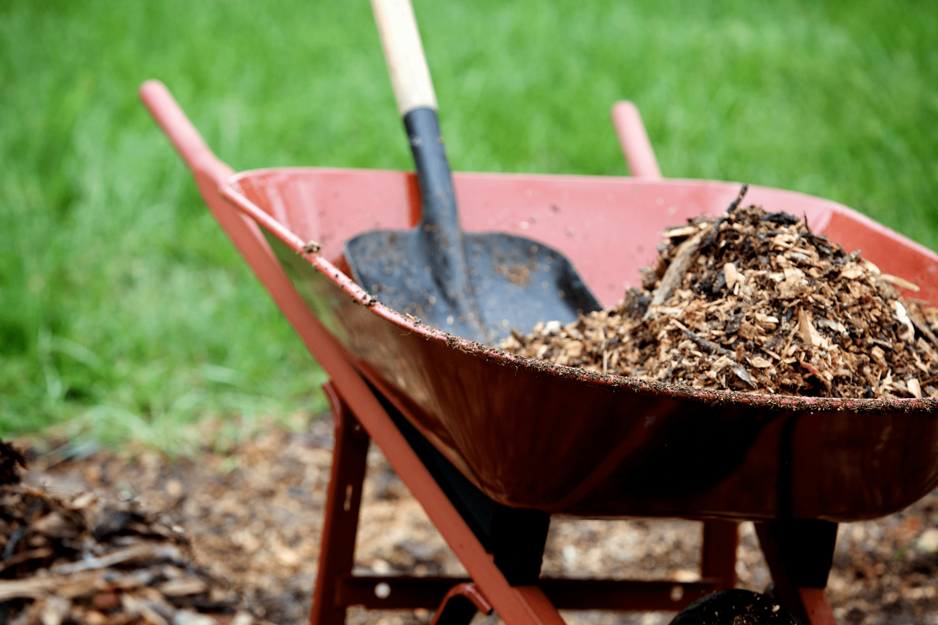 Homeowner pushing a wheelbarrow filled with mulch around while performing DIY landscaping