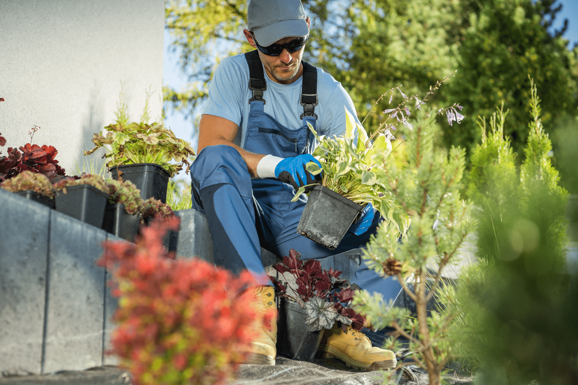 Professional Landscaper From Albuquerque Landscapes Selecting Plants For Albuquerque Home