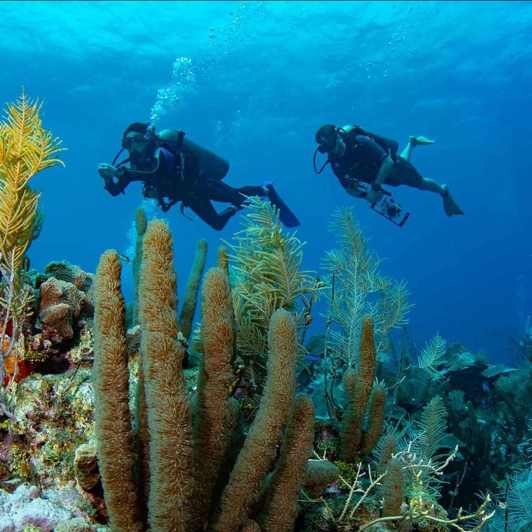 ofertas de hoteles en san andres