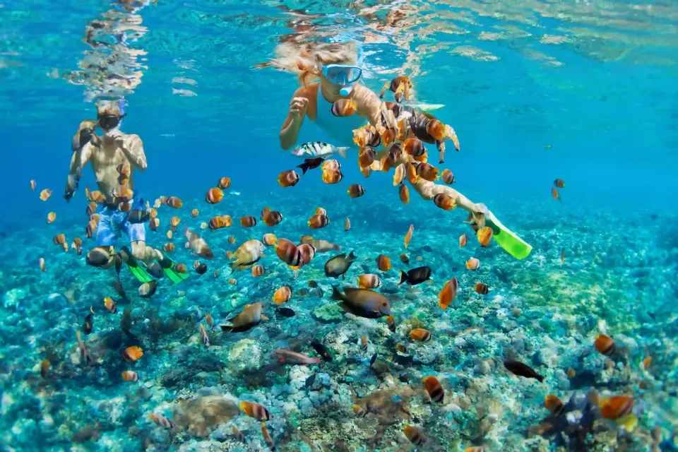 Pareja disfrutando de snorkel en San Andrés, para explorar el mar Caribe y sus arrecifes de coral.