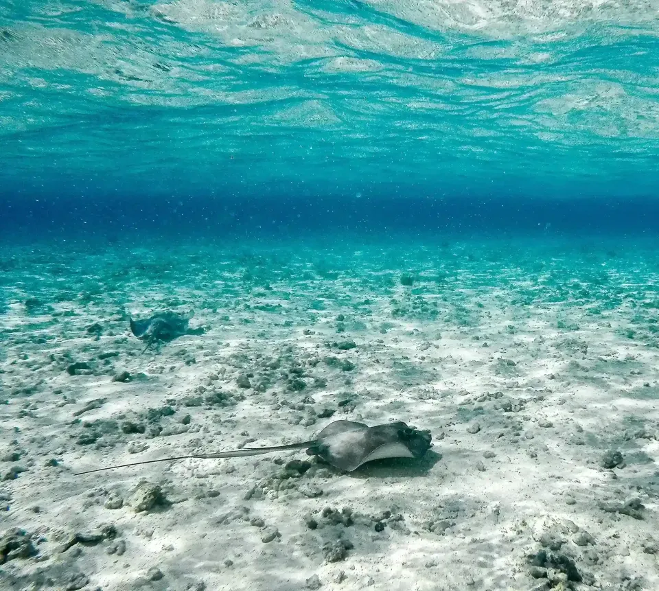 Playa de arena blanca y aguas cristalinas en San Andrés, experiencia caribeña para huéspedes del Hotel Américas SAI.