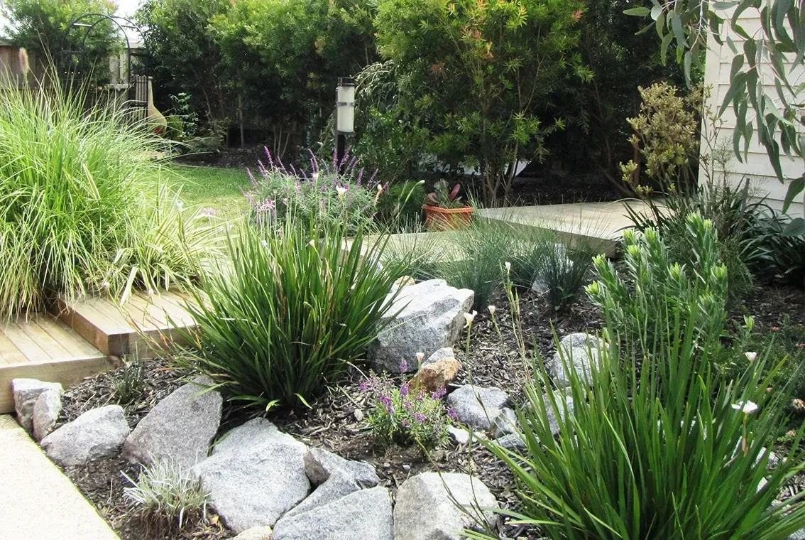A garden bed with green plants, rocks, and a wooden pathway. — CAW Services in Badagarang, NSW