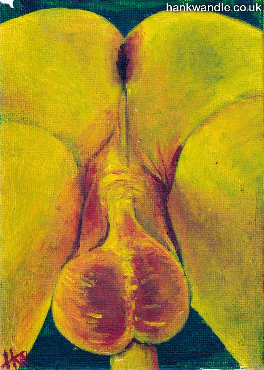 a painting of a male bottom, from below, the scrotum is the focus with big round balls rendered in orange tones