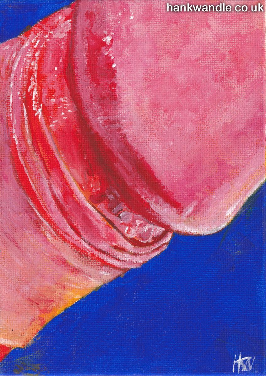 a tight detail of an erect penis glans and retracted foreskin