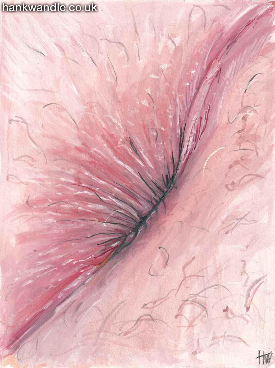 a very close up picture of a bumhole