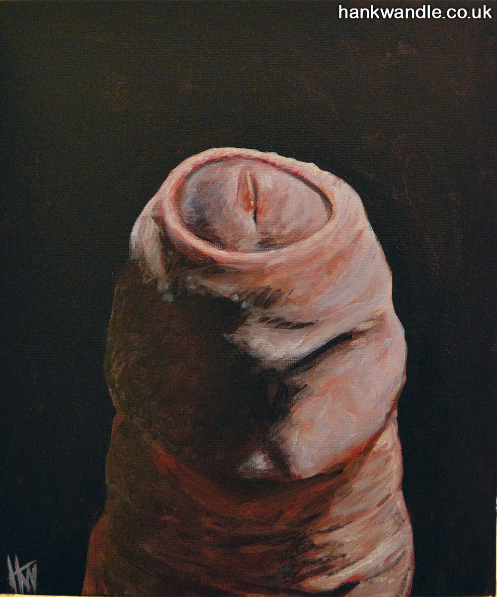 a painting of the tip of a penis