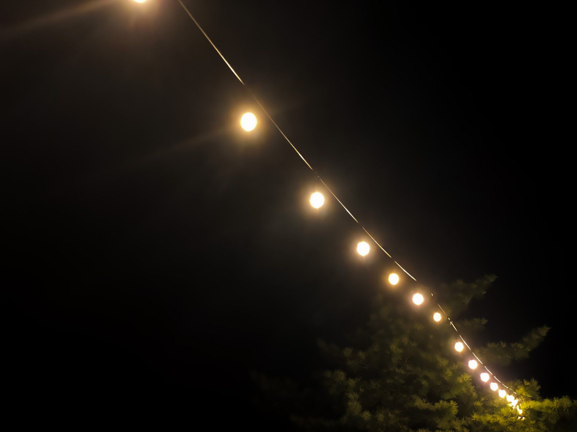 Christmas Tree with Many Lights — Tallahassee, FL — Tallahasse Lawn Salon