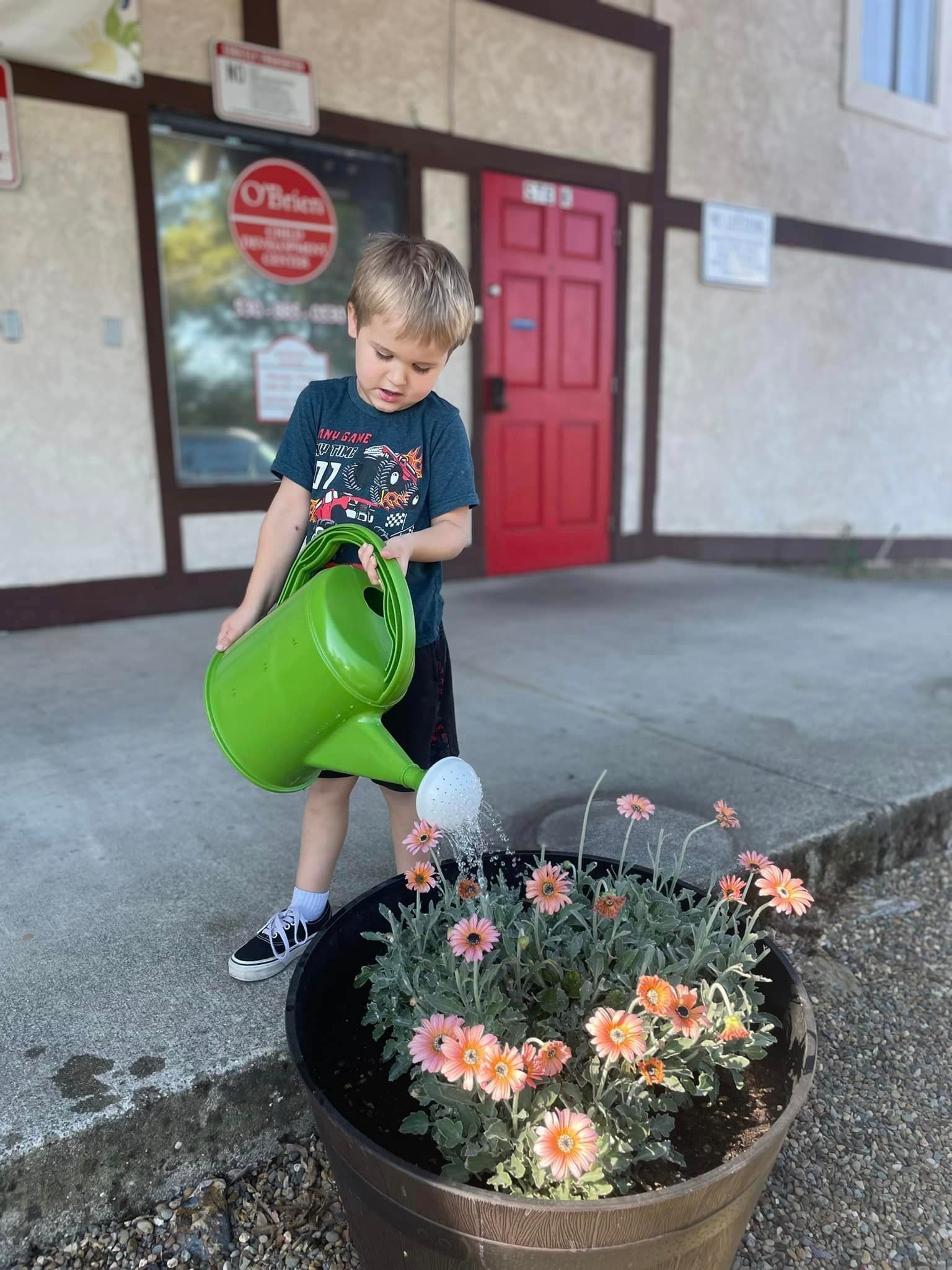 boy watering the flower on the pot