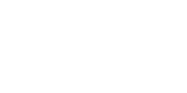 Afier Accountants + Adviseurs logo