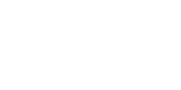 Autorijschool Bos Roden logo