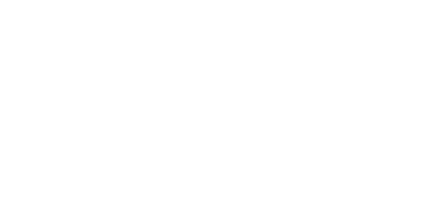 PlasBossinade Advocaten en Notarissen logo