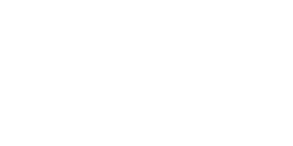 Schadenet Bathoorn Roden logo