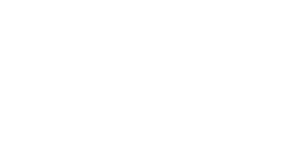Twinseasons logo