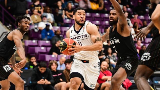 Brampton Honey Badgers - Canadian Professional Basketball Team