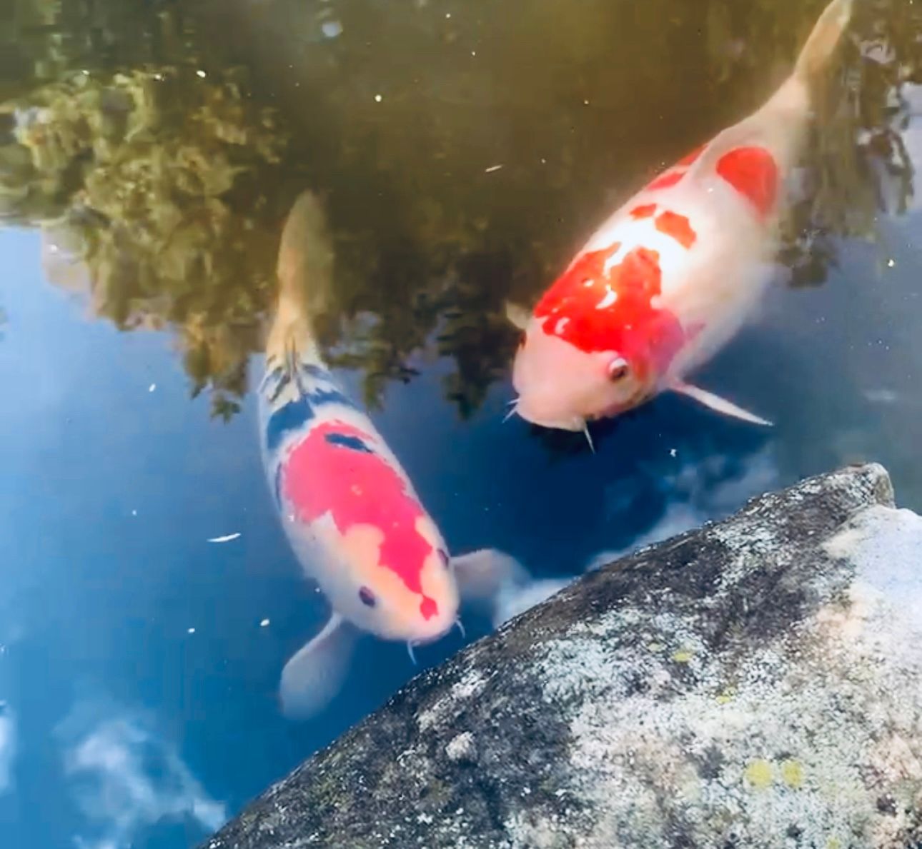 Two men are standing next to each other in front of a house.