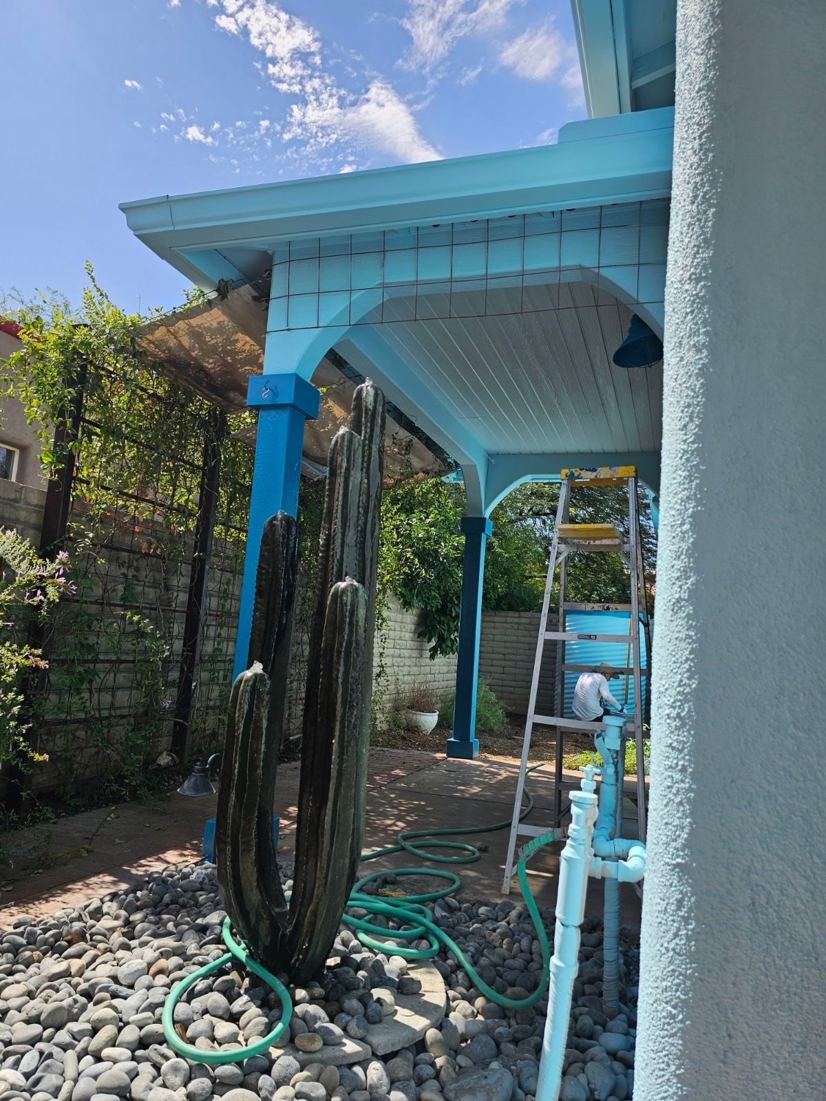 A cactus is sitting under a blue porch next to a ladder.