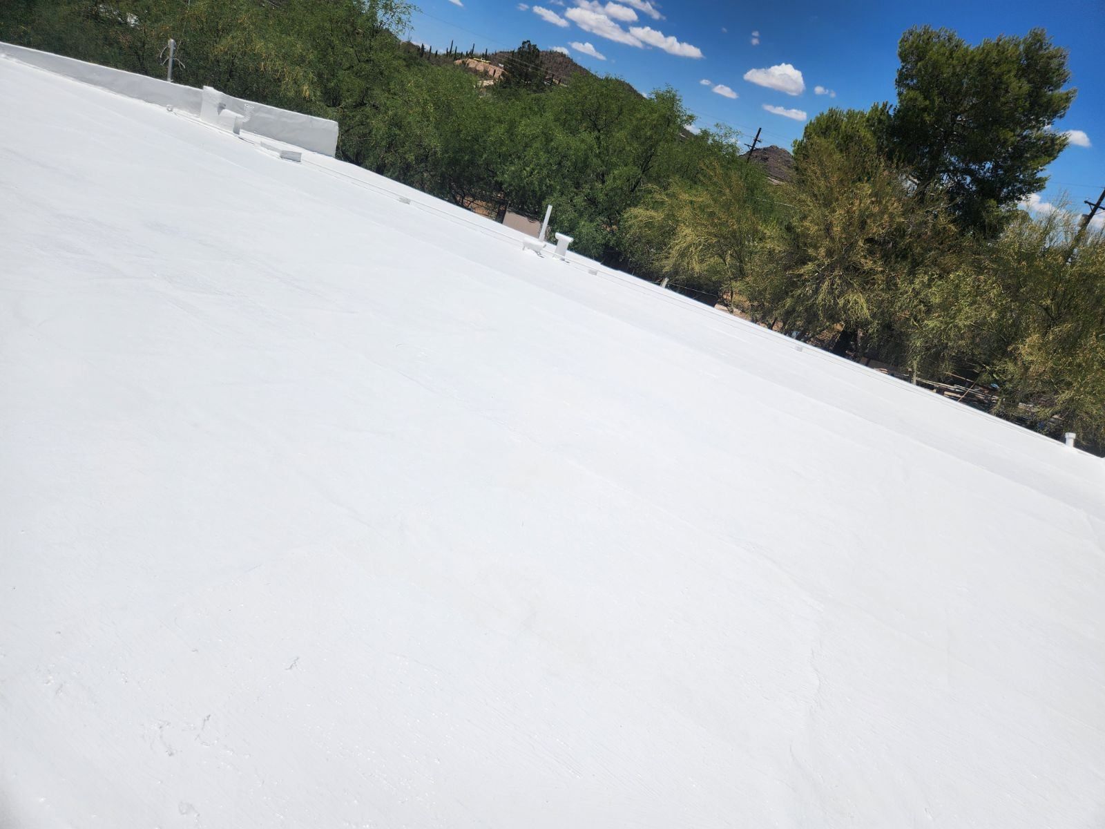 A white roof with trees in the background on a sunny day.