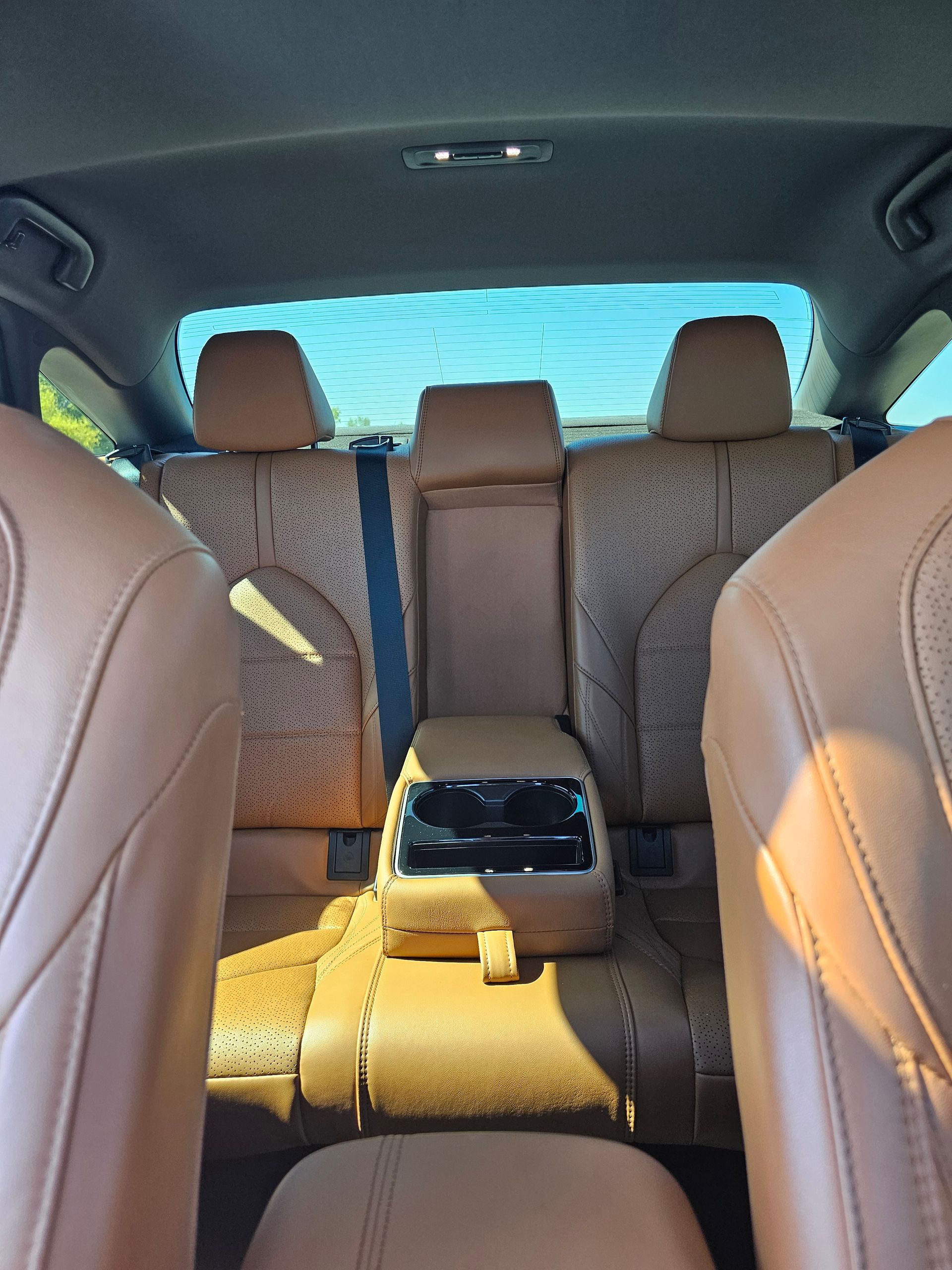 Blue Line San Antonio Party Bus Up to 16 passengers nighttime inside lights on view parked in Leon Springs